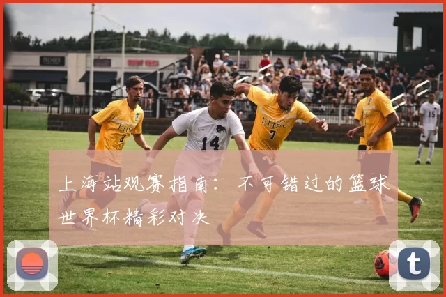 上海站观赛指南:不可错过的篮球世界杯精彩对决