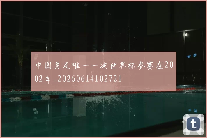 中国男足唯一一次世界杯参赛在2002年_20260614102721