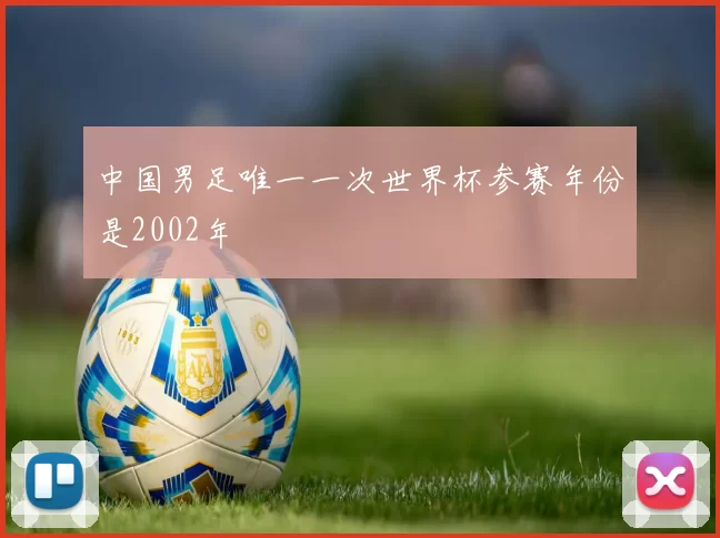 中国男足唯一一次世界杯参赛年份是2002年