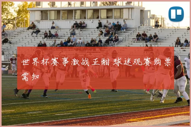 世界杯赛事激战正酣 球迷观赛购票需知