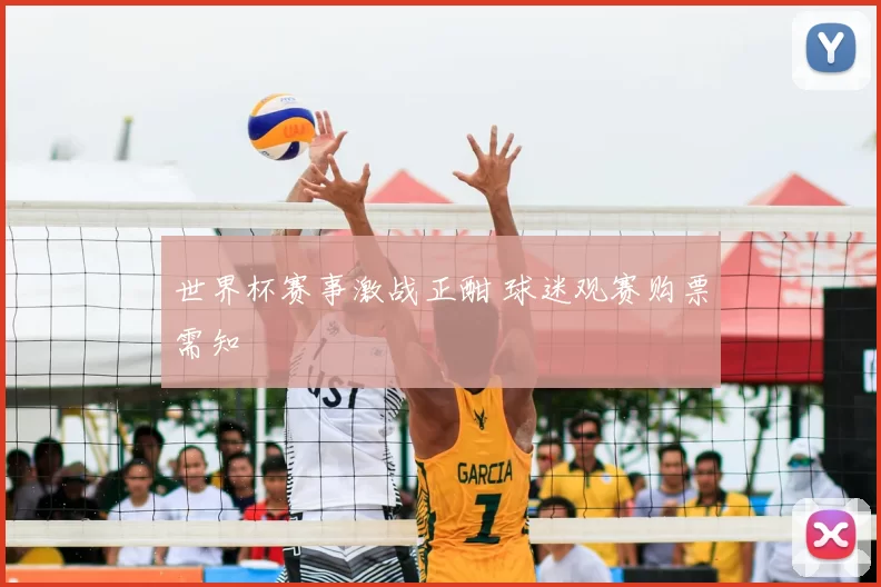 世界杯赛事激战正酣 球迷观赛购票需知