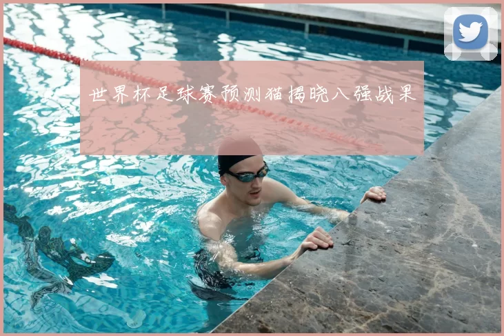 世界杯足球赛预测猫揭晓八强战果