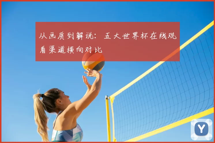 从画质到解说：五大世界杯在线观看渠道横向对比