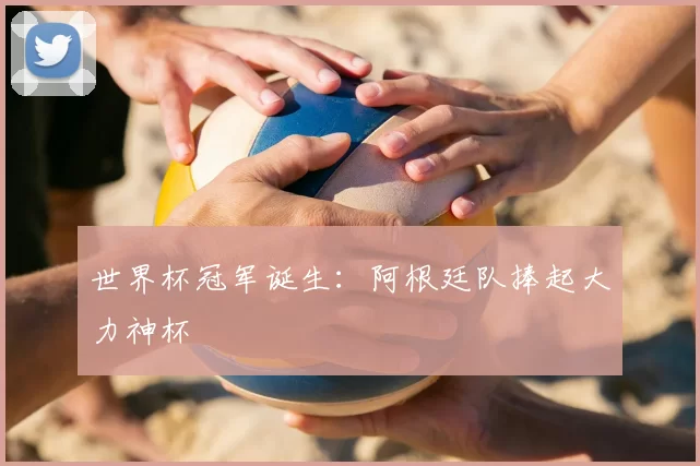 世界杯冠军诞生:阿根廷队捧起大力神杯