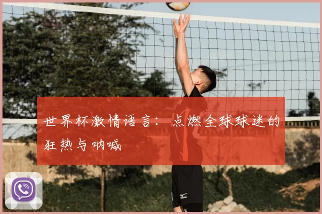 世界杯激情语言:点燃全球球迷的狂热与呐喊
