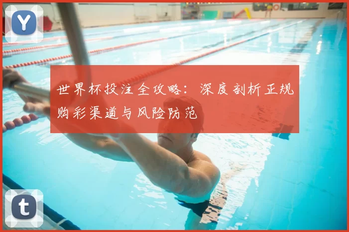 世界杯投注全攻略：深度剖析正规购彩渠道与风险防范