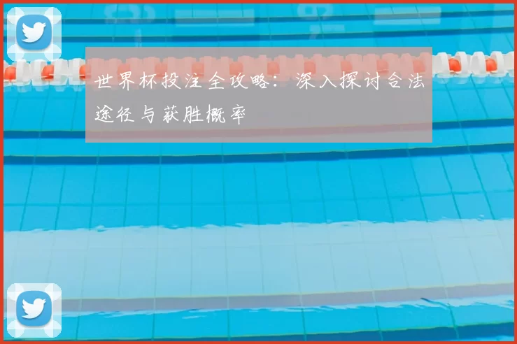 世界杯投注全攻略：深入探讨合法途径与获胜概率